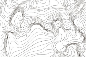 Vilniaus pirminio reljefo plano fragmentas, autorė: Oksana Valionienė, M1:20000, 2015.